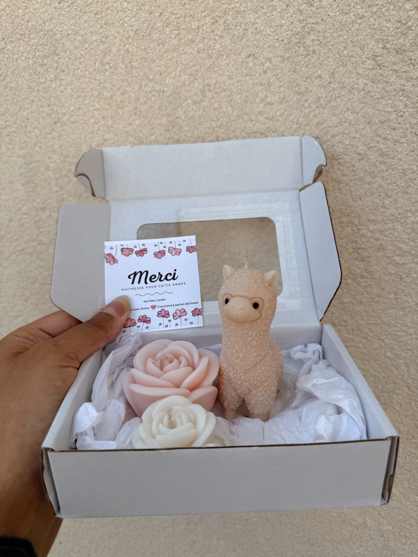 Coffret moyen Merci maîtresse