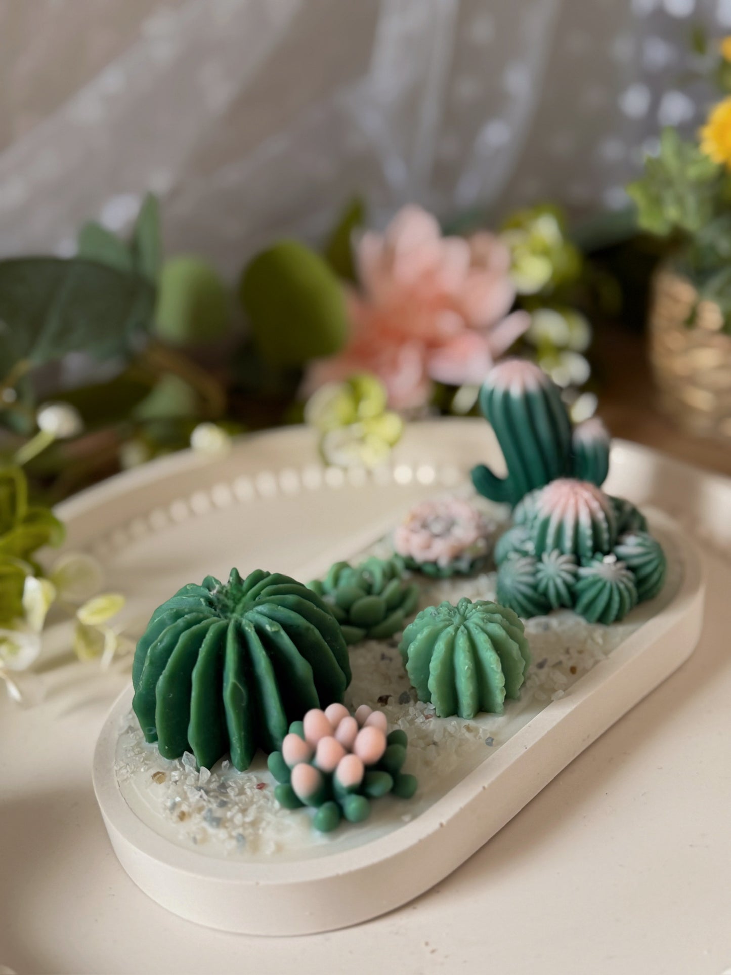 Terrarium en jesmonite crème et succulentes de cires senteur soleil envoûtant