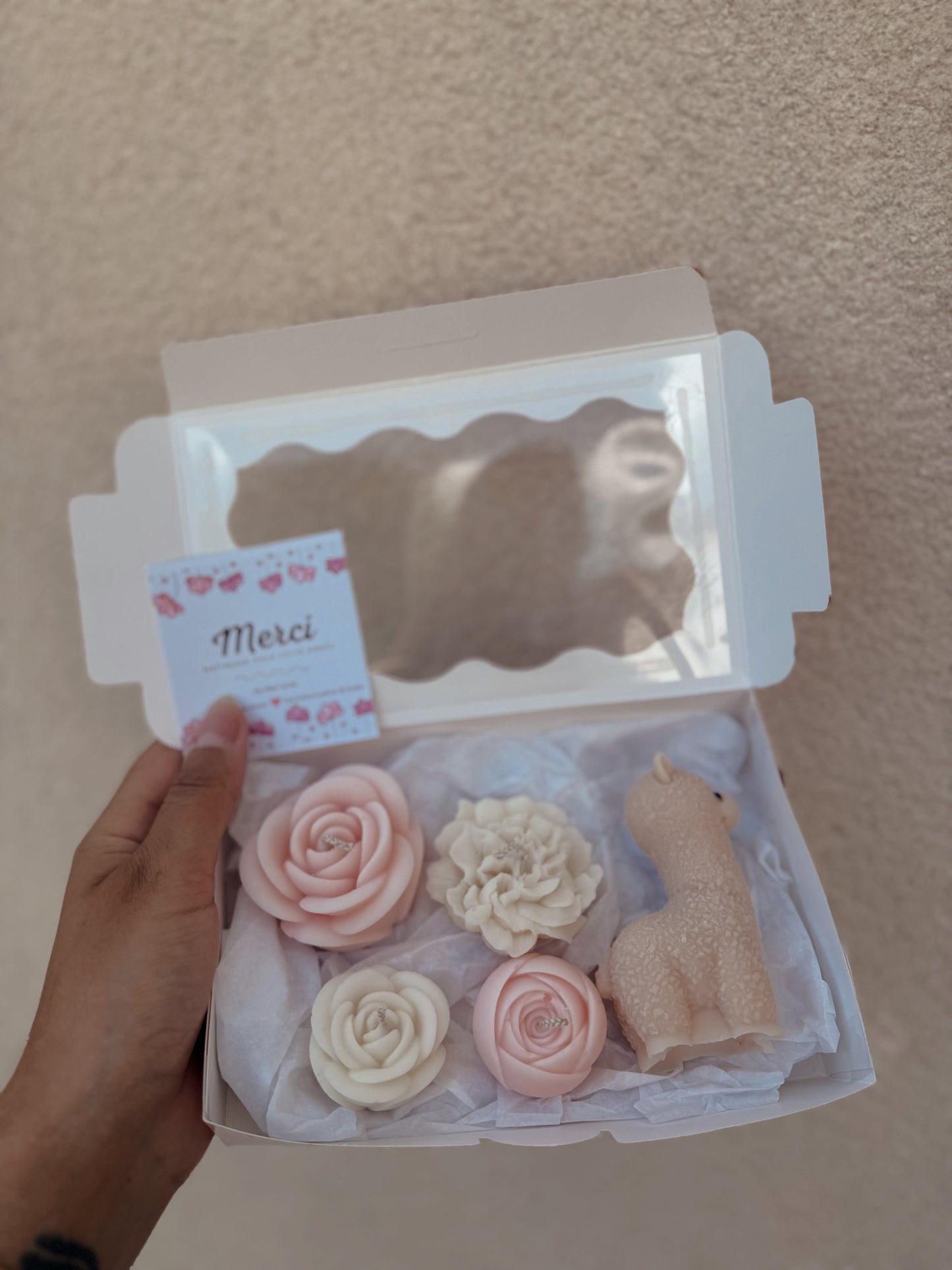 Grand Coffret Merci maîtresse