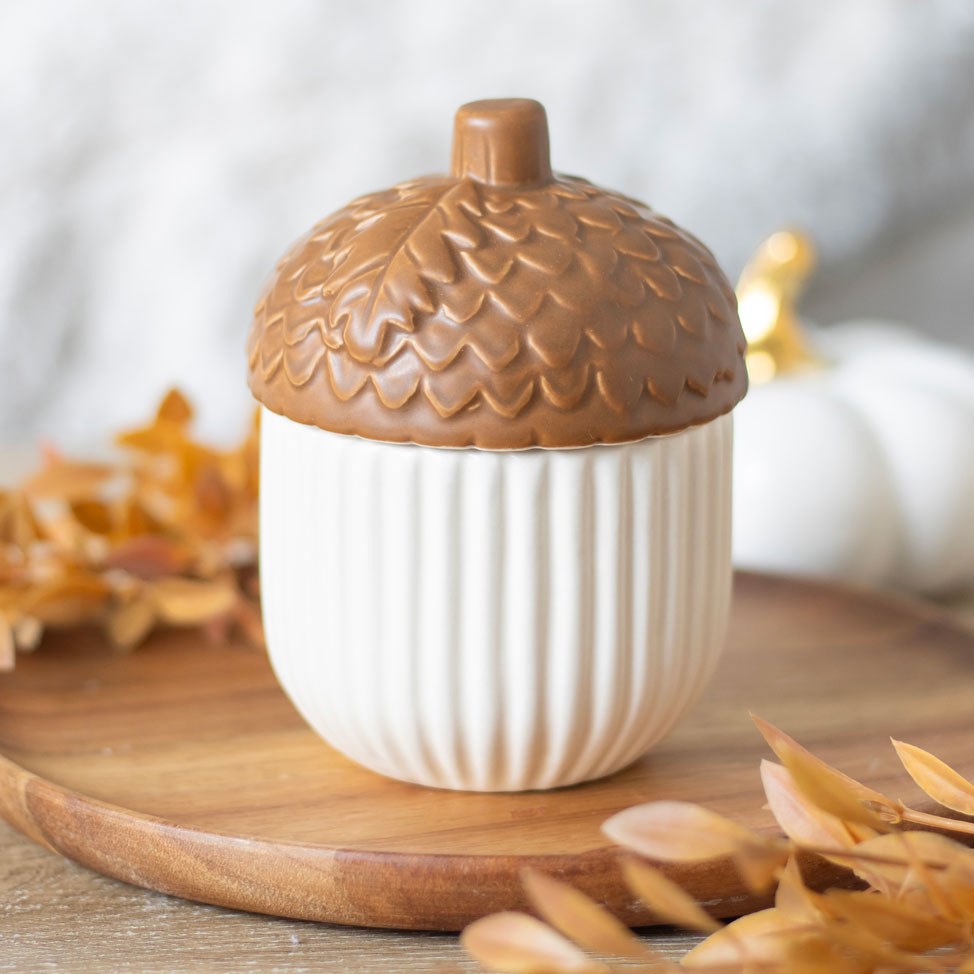 Coffret fondants parfumés et Diffuseur brûle parfum Nuts