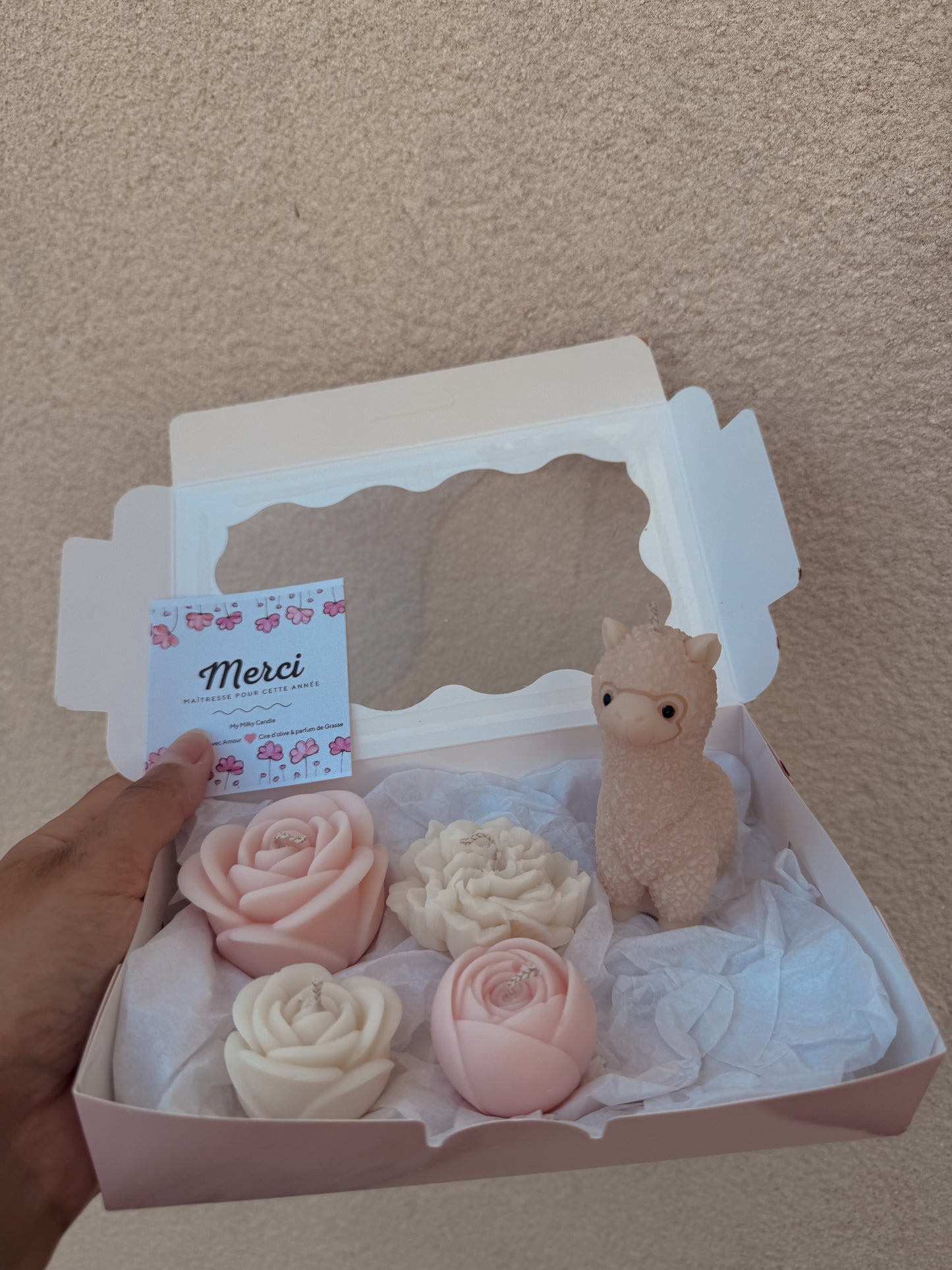Grand Coffret Merci maîtresse