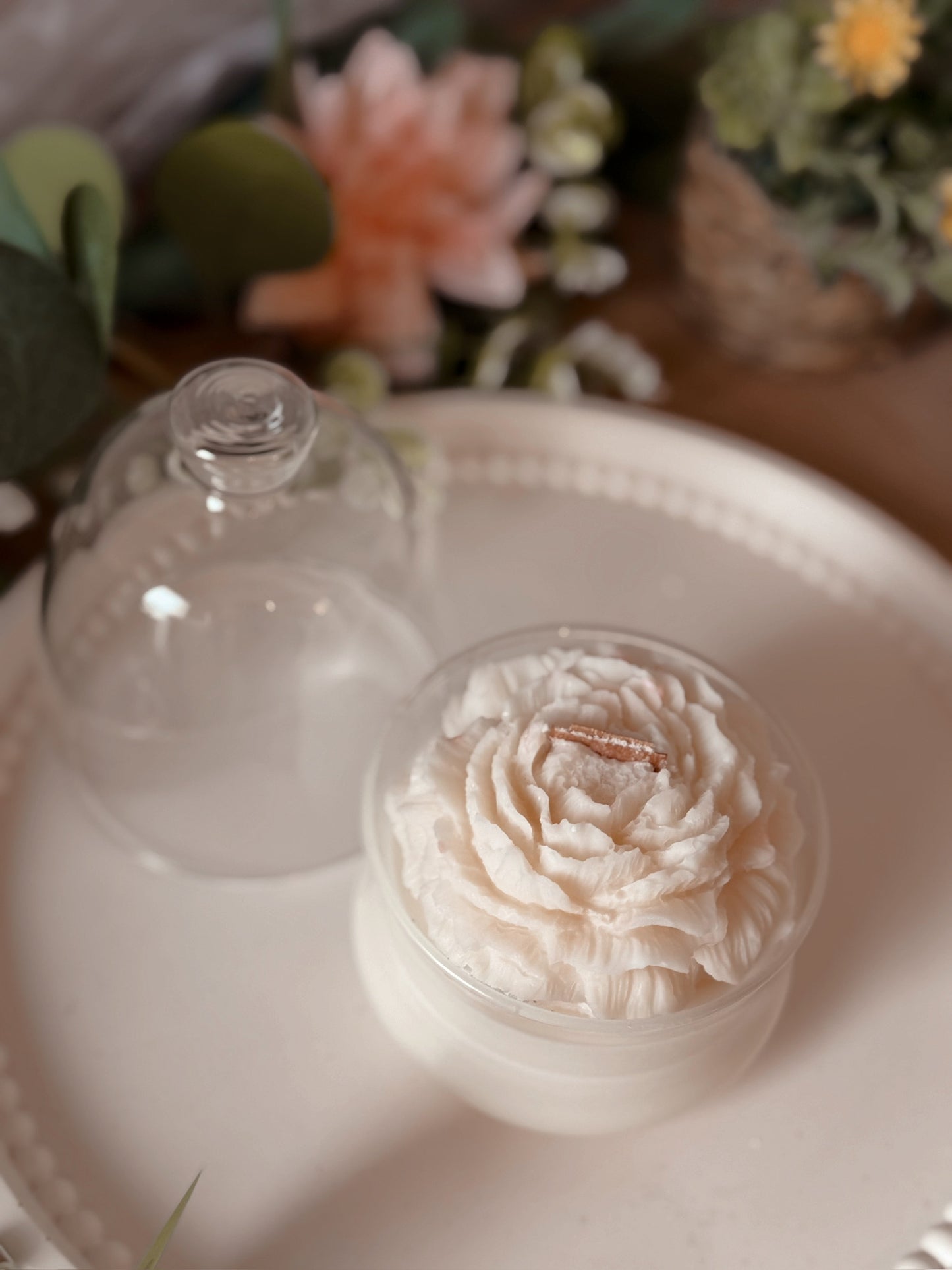 Bougie sous cloche Pivoine senteur bois de rose