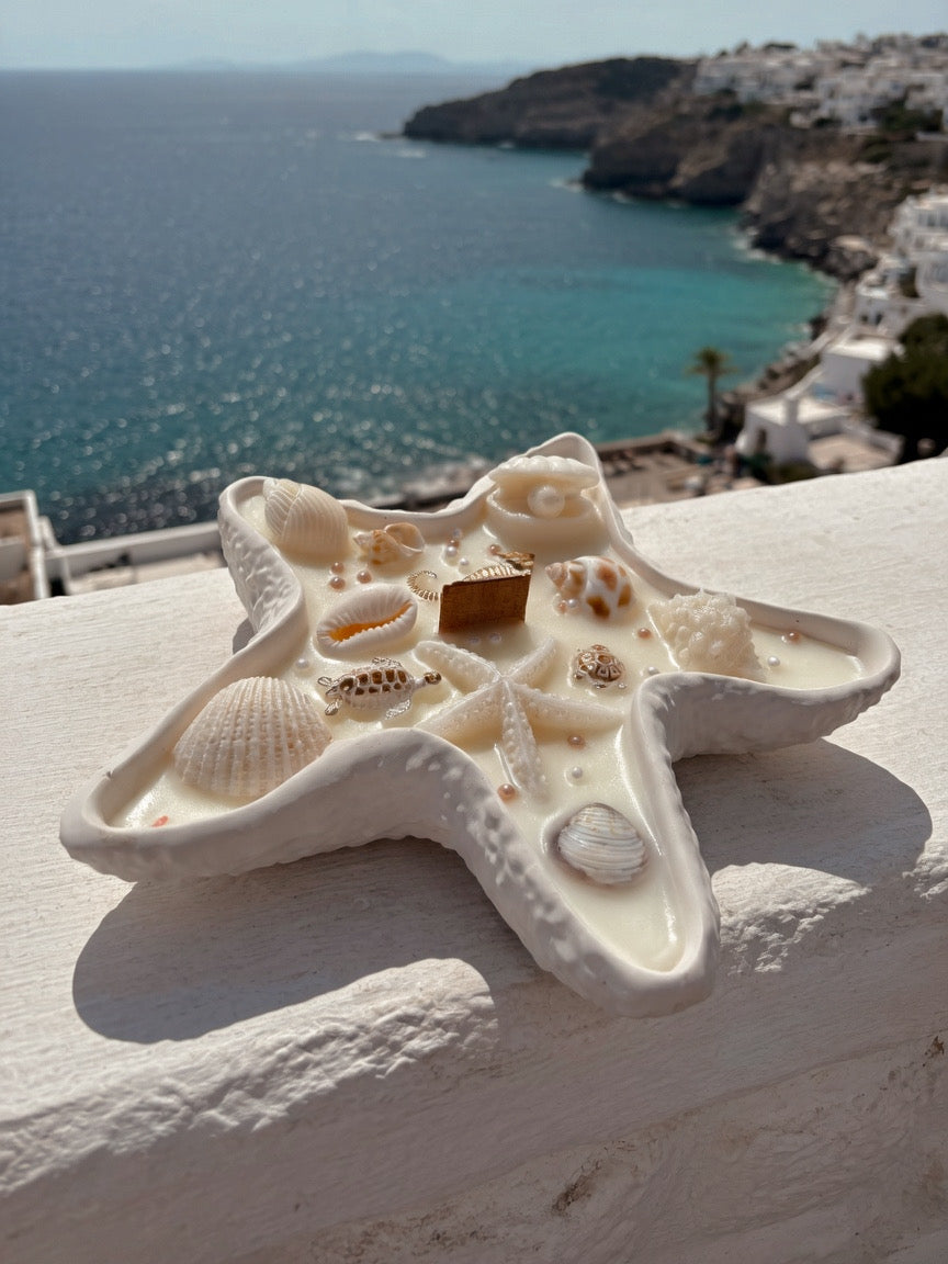 Bougie étoile de mer fait main en jesmonite et cire d’olive, senteur au choix