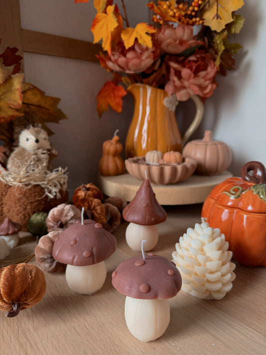 Bougie Champignon fait main en cire d'olive taille au choix senteur automne gourmand