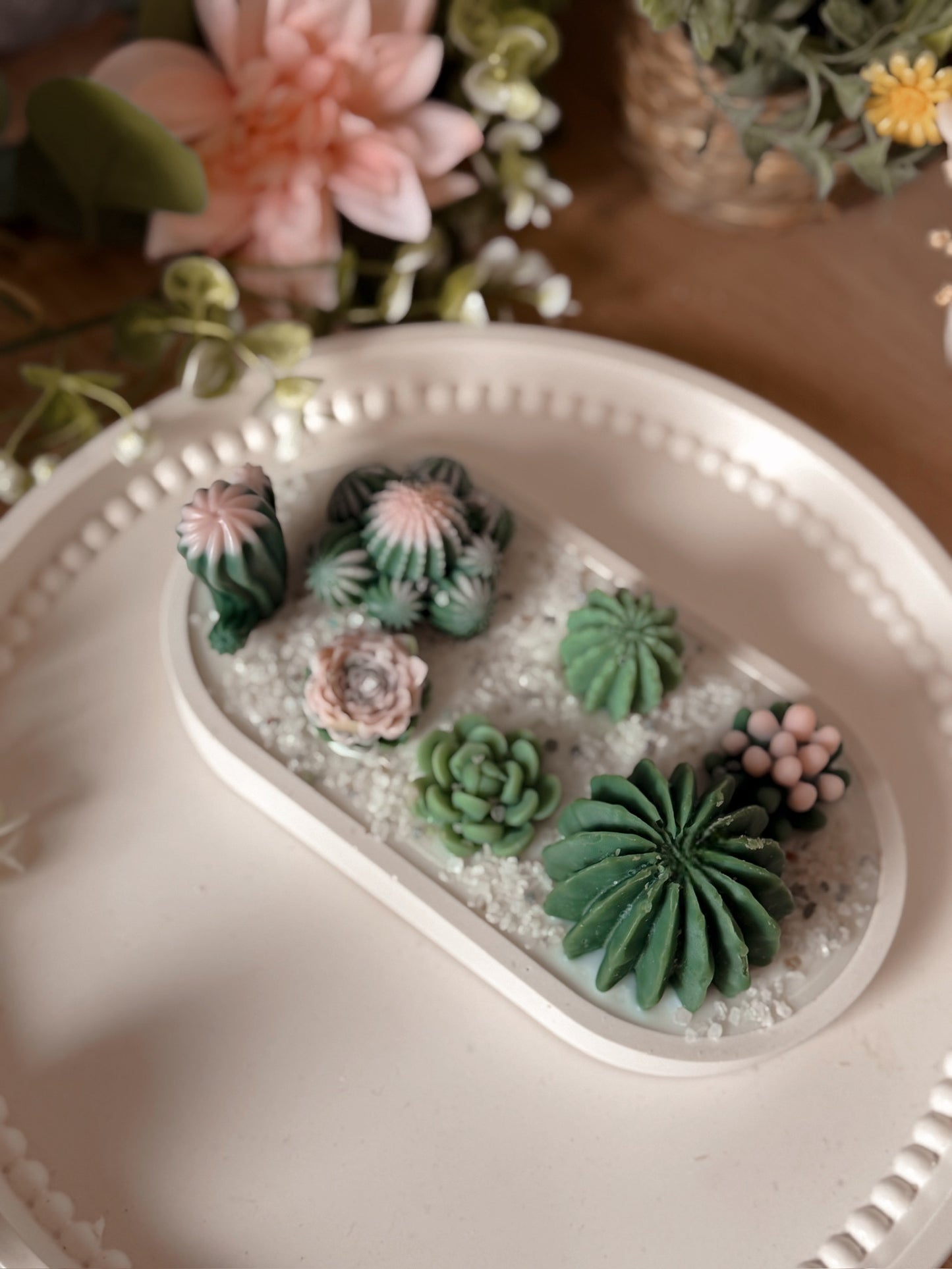 Terrarium en jesmonite crème et succulentes de cires senteur soleil envoûtant