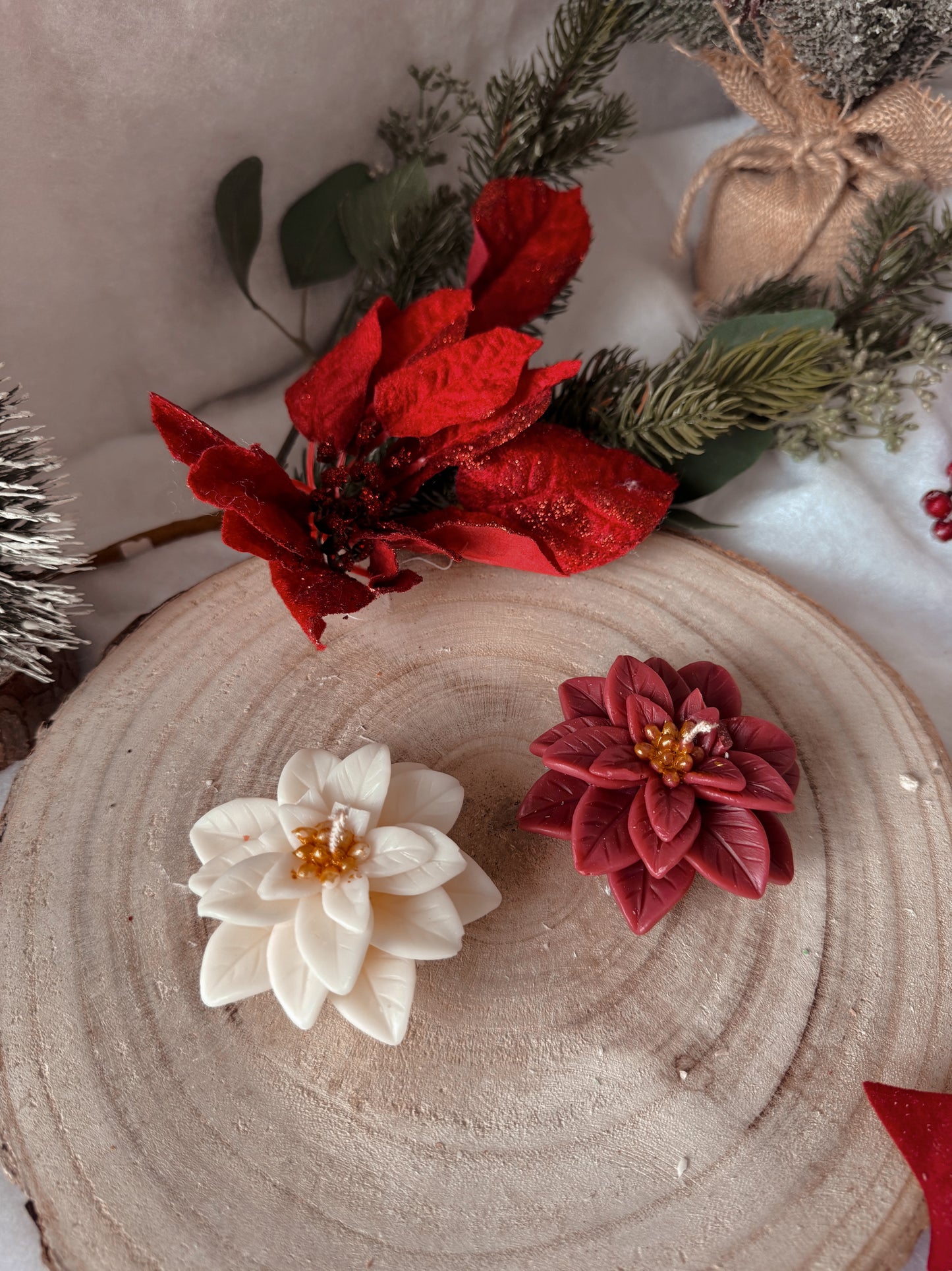 Bougie fleur de Poinsettia coloris aux choix