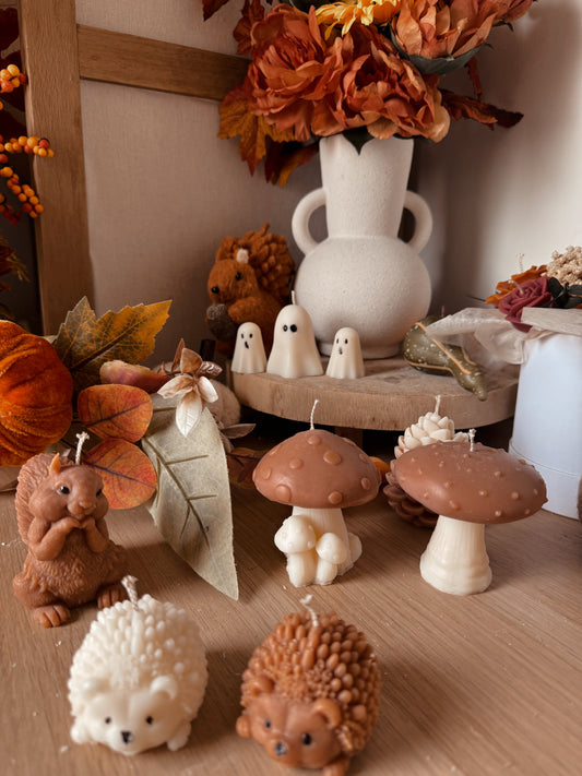 Bougie champignons cire d'olive modèle et senteur aux choix