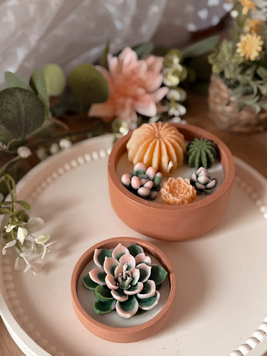 Bougie terrarium modèle moyen senteur soleil envoûtant