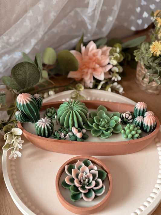 Bougie Centre de table terrarium parfum soleil envoûtant