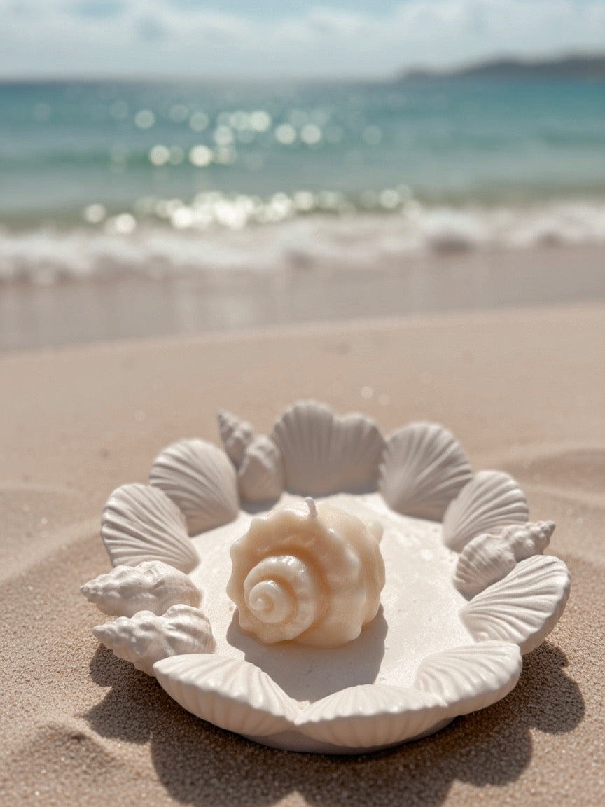 Bougie Shell escargot fait main en cire d’olive coloris et senteur au choix