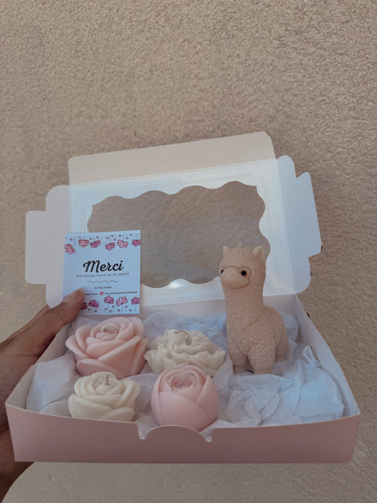 Grand Coffret Merci maîtresse
