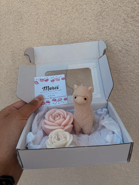 Coffret moyen Merci maîtresse