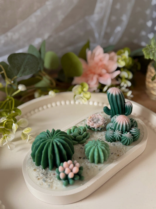Terrarium en jesmonite crème et succulentes de cires senteur soleil envoûtant