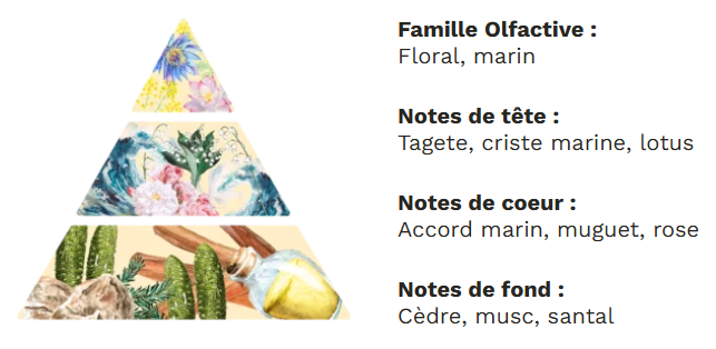 Diffuseur à tiges base végétale sans alcool