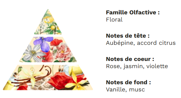Diffuseur à tiges base végétale sans alcool