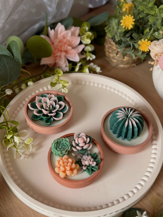 Bougie pot fait main mini succulente modèle au choix senteur soleil envoûtant