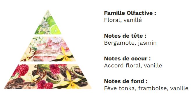 Diffuseur à tiges base végétale sans alcool