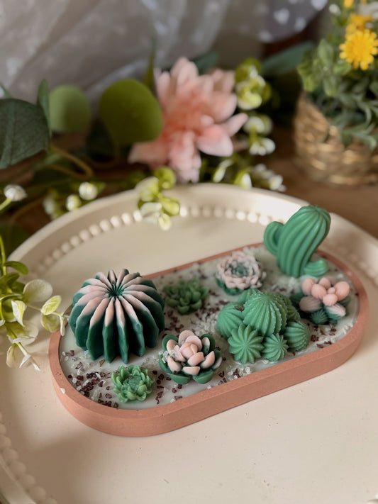 Terrarium en jesmonite terracotta et succulentes de cires senteur soleil envoûtant
