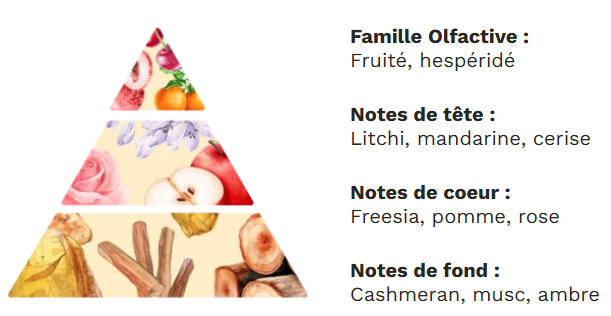 Diffuseur à tiges base végétale sans alcool