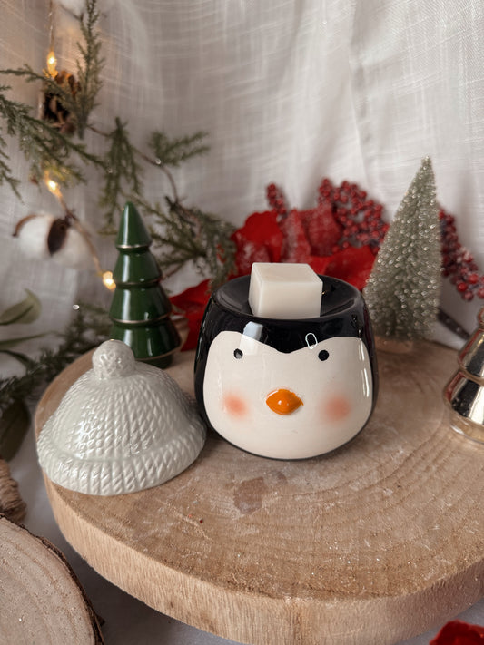 Coffret diffuseur et fondants parfumés Pinguoo