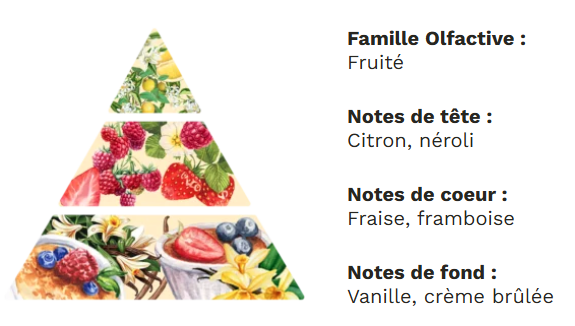 Diffuseur à tiges base végétale sans alcool