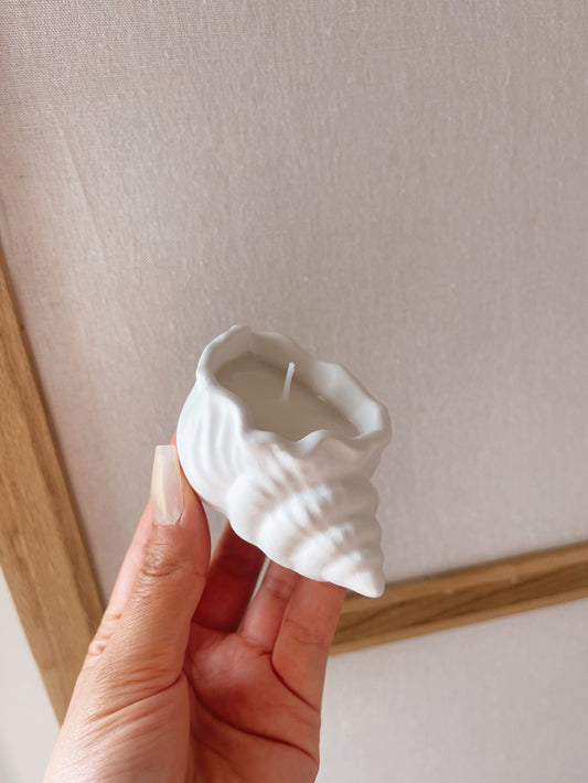 Bougie écrin coquillage coloris aux choix