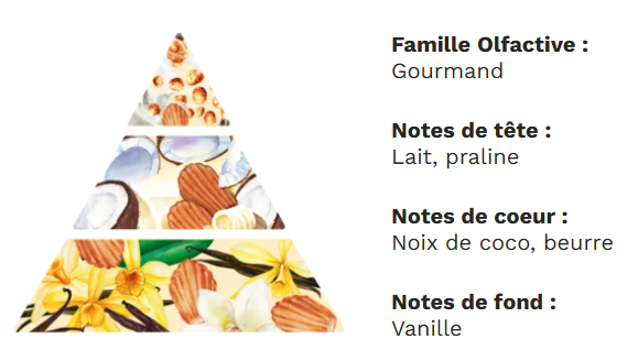 Diffuseur à tiges base végétale sans alcool