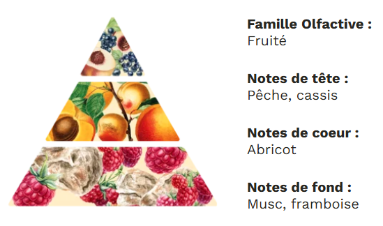 Diffuseur à tiges base végétale sans alcool