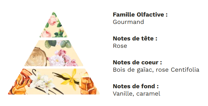 Diffuseur à tiges base végétale sans alcool