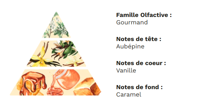 Diffuseur à tiges base végétale sans alcool