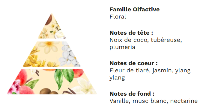 Diffuseur à tiges base végétale sans alcool