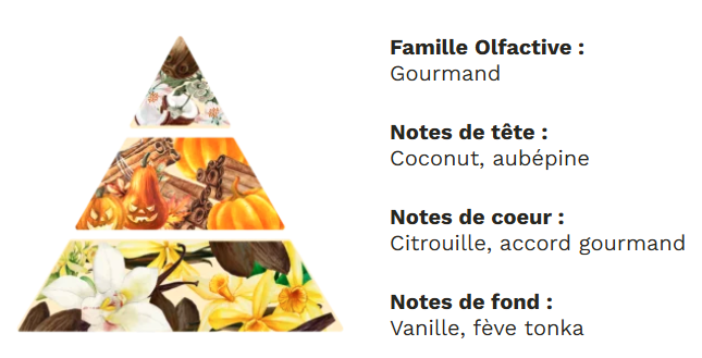 Tableaux modèle moyen de fleurs de cire d'olive Parfumées édition limitée d'automne senteur Automne gourmand